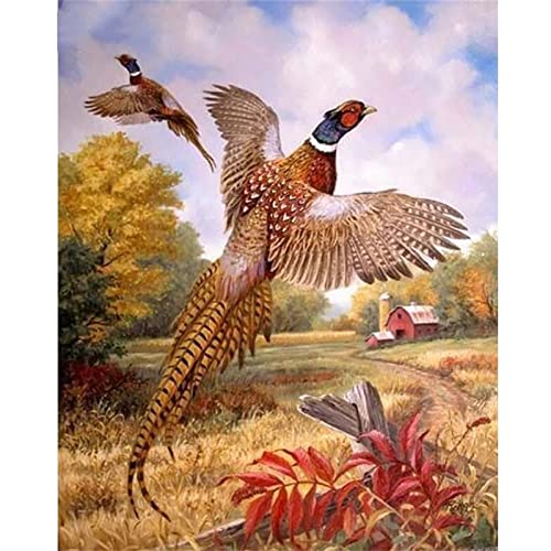 Diamond Painting, 5D Diamant Painting Fasan Bilder, Diamant Malerei Kinder Kreuzstich Kits, groß Daiments Painting mit Voll Zubehör für Wohnzimmer Schlafzimmer Büro Wand 50x70cm/20x28in Diamond Painting, 5D Diamant Painting Fasan Bilder, Diamant Malerei Kinder Kreuzstich Kits, groß Daiments Painting mit Voll Zubehör für Wohnzimmer Schlafzimmer Büro Wand 50x70cm/20x28in von Dooqon