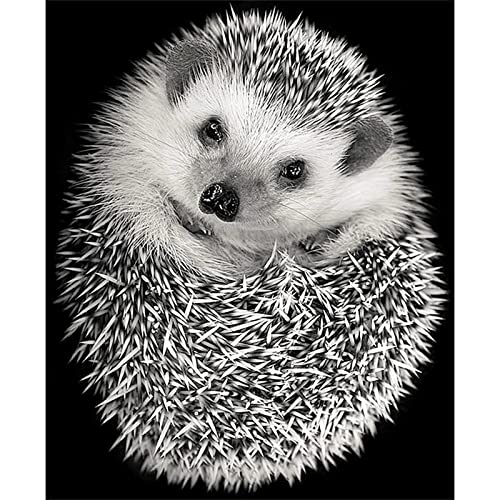 Diamond Painting, 5D Diamant Painting Igel Bilder, Diamant Malerei Kinder Kreuzstich Kits, groß Daiments Painting mit Voll Zubehör für Wohnzimmer Schlafzimmer Büro Wand 40x50cm/16x20in Diamond Painting, 5D Diamant Painting Igel Bilder, Diamant Malerei Kinder Kreuzstich Kits, groß Daiments Painting mit Voll Zubehör für Wohnzimmer Schlafzimmer Büro Wand 40x50cm/16x20in von Dooqon