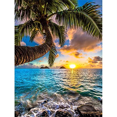 Diamond Painting 5D Diamant Painting Sonnenaufgang Am Meer Bilder Diamant Malerei Kinder Kreuzstich Kits groß Daiments Painting mit Voll Zubehör für Wohnzimmer Schlafzimmer Büro Wand 30x40cm/12x16in Diamond Painting 5D Diamant Painting Sonnenaufgang Am Meer Bilder Diamant Malerei Kinder Kreuzstich Kits groß Daiments Painting mit Voll Zubehör für Wohnzimmer Schlafzimmer Büro Wand 30x40cm/12x16in von Dooqon