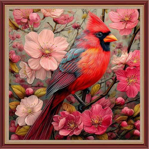 Dooxvey Kreuzstich-Set für Erwachsene und Anfänger, komplettes Sortiment an Kreuzstich-Stempel-Kits, Nadelspitzen-Sets für Anfänger, Stickset, 11-fädig, Kreuzstichmuster, Blumen-Vogel, 45,7 x 45,7 cm Dooxvey Kreuzstich-Set für Erwachsene und Anfänger, komplettes Sortiment an Kreuzstich-Stempel-Kits, Nadelspitzen-Sets für Anfänger, Stickset, 11-fädig, Kreuzstichmuster, Blumen-Vogel, 45,7 x 45,7 cm von Dooxvey