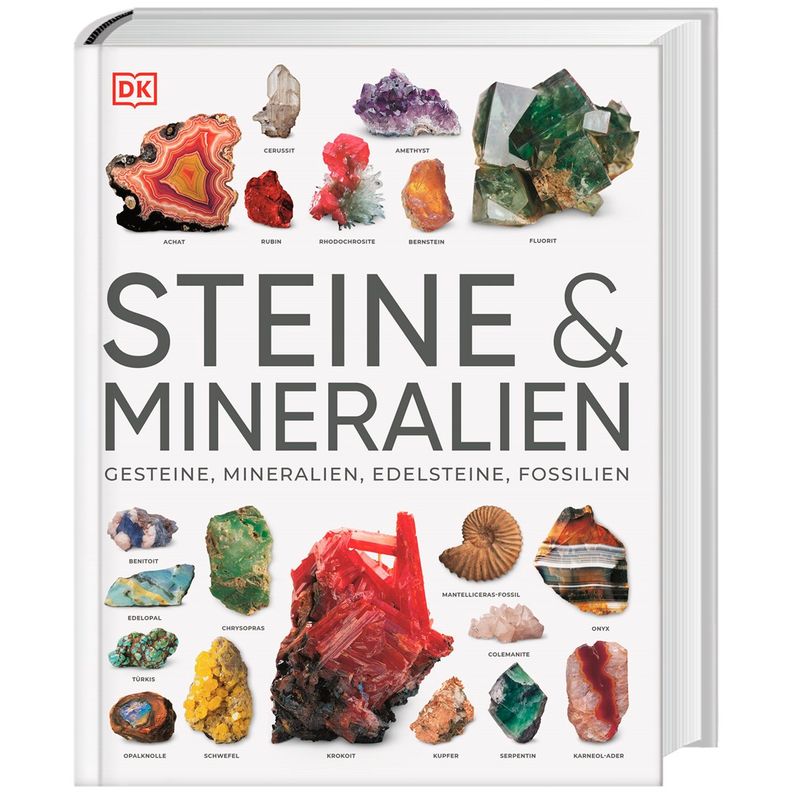 Steine & Mineralien - Ronald L. Bonewitz, Gebunden von Dorling Kindersley