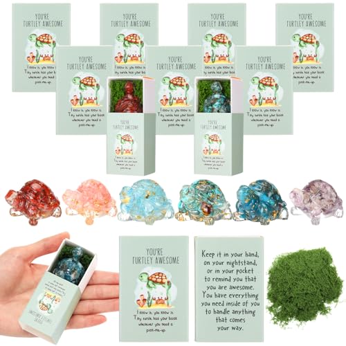 DoubleFill Emotionale Unterstützungsgeschenke, 6er-Set, positive Kristallschildkröte, inspirierende Geschenke für Mitarbeiter, Lehrer, Studenten, Schreibtisch, Haustiere, niedliche Mini-Ornamente aus von DoubleFill