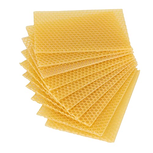 Dpofirs 10 Stück Bienenwachsblätter, Bienenwachswabenblätter Wax FoundationBee Hives Kit für die Kerzenherstellung, WaxFoundation für Bienenrahmen (5,1 Zoll X 3,5 Zoll) von Dpofirs