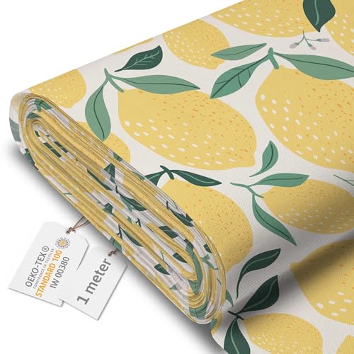 DreamRoots Segeltuch Wasserdicht - Polsterstoff Meterware 160 cm breit - Wasserabweisender Stoff 220 g/m2 600D - Markisenstoff Wasserdicht Meterware Lemons Cartoon 1M von DreamRoots