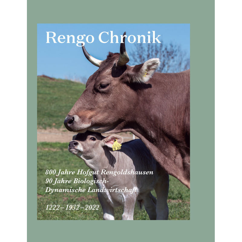 Rengo Chronik - Matthias Georgi, Christoph Laugs, Anna Pezold, Jan-Hendrik Pieper, Gebunden von Dreesbach
