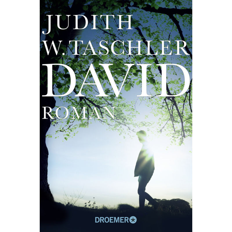 David - Judith W. Taschler, Taschenbuch von Droemer/Knaur