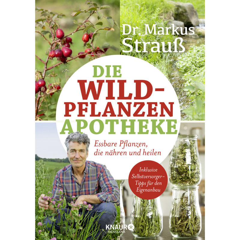 Die Wildpflanzen-Apotheke - Markus Strauß, Kartoniert (TB) von Droemer/Knaur