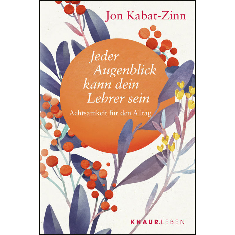 Jeder Augenblick Kann Dein Lehrer Sein - Jon Kabat-Zinn, Taschenbuch von Droemer/Knaur