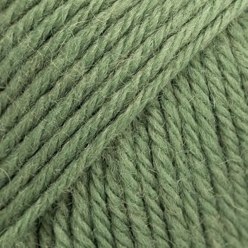 Garn aus 100 % Wolle zum Stricken und Häkeln, 3 oder leicht, Kammgarn, DK-Gewicht, Drops Karisma, 50 g, 109 Meter pro Knäuel (86 Lorbeergrün) von Drops