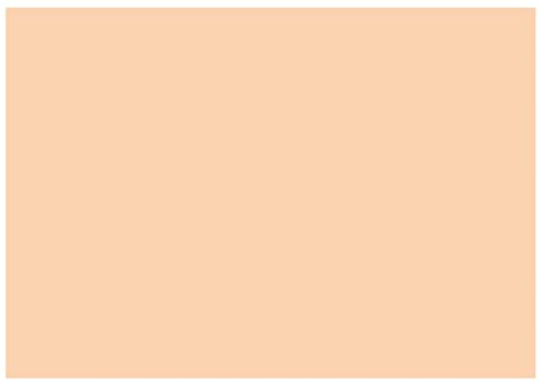 Tonkarton - Tonpapier - Tonzeichenpapier - 100 Blatt DIN A2-160g/m² Farbe: Savanna-salm Tonkarton - Tonpapier - Tonzeichenpapier - 100 Blatt DIN A2-160g/m² Farbe: Savanna-salm von Druckerei Scharlau
