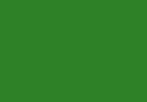 Tonkarton - Tonpapier - Tonzeichenpapier - 100 Blatt DIN A5-160g/m² Farbe: Dublin-dunkelgrün (22810) von Druckerei Scharlau
