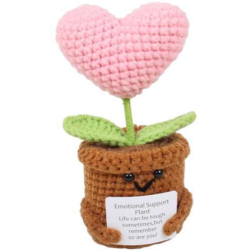 Dryxog Glücksbringer Geschenke Glück Positive Geschenke Beste Freundin für Abschiedsgeschenk Kollegin Ruhestand Mutmacher Lustige Lucky Charms Geschenkideen Gehäkelte Blumen (Liebesherz) von Dryxog