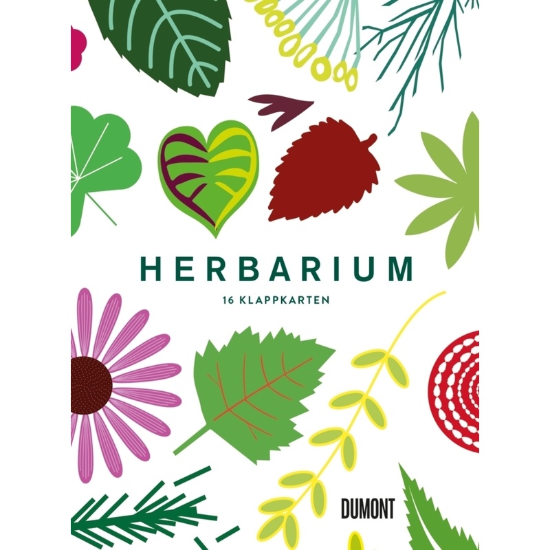 Herbarium, 16 Klappkarten von DUMONT BUCHVERLAG