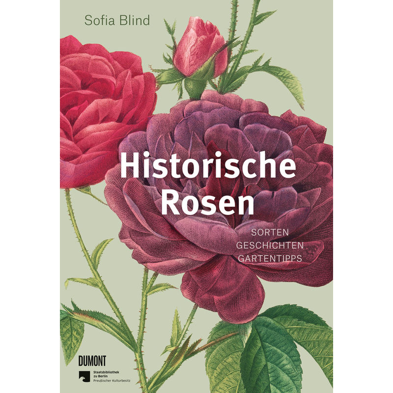 Historische Rosen - Sofia Blind, Gebunden von DuMont Buchverlag Gruppe