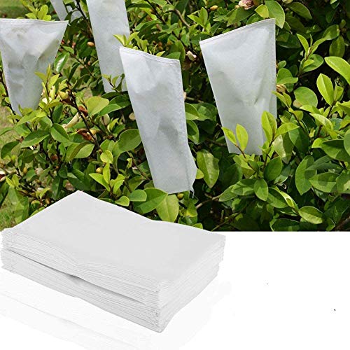 Garten Bestäubung Pergament Taschen Moskito Bug Net Schutzbeutel für Pflanzenblume (100 PCS) von Duokon