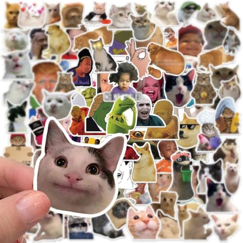 Duoleimi 100er Pack Meme Sticker Set Lustige Aufkleber wasserdichte Vinyl Sticker für Laptop Kinder Auto Motorrad Fahrrad Skateboard Koffer Computer - Coole Meme Sticker Lehrer Graffiti Decal Duoleimi 100er Pack Meme Sticker Set Lustige Aufkleber wasserdichte Vinyl Sticker für Laptop Kinder Auto Motorrad Fahrrad Skateboard Koffer Computer - Coole Meme Sticker Lehrer Graffiti Decal von Duoleimi
