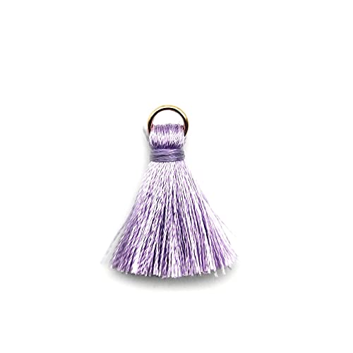 100 Stück Mini Quasten Anhänger,2cm Seidige Gerade Fransen Tassel Troddel Armband Schlüsselanhänger Basteln Quaste für Ohrringe Schmuckherstellung Taschen Lesezeichen DIY Handwerk Zubehör,Helles Lila 100 Stück Mini Quasten Anhänger,2cm Seidige Gerade Fransen Tassel Troddel Armband Schlüsselanhänger Basteln Quaste für Ohrringe Schmuckherstellung Taschen Lesezeichen DIY Handwerk Zubehör,Helles Lila von Duories
