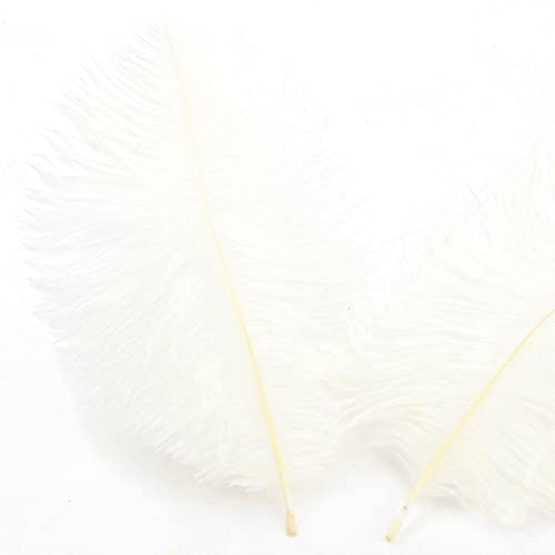20 Stück 15-20cm Natürliche Straußenfedern,Strauß Feder zum Basteln,Bastel Federn für DIY Traumfänger Zubehör,Heimdekoration,KostüMe,Tischdeko Hochzeit Party Fest Hüte Kleidung Dekoration,Weiß von Duories