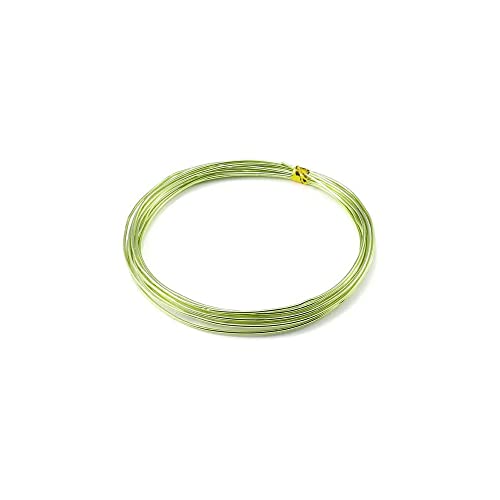 20m Basteldraht 0.8mm, Aluminium Craft Draht Blumendraht Aluminiumdraht Dekodraht Bindedraht für Blumengestecke, DIY Handwerk Dekorieren Schmuck Kranzherstellung, Schmuckdraht zum Basteln,Gras-Grün 20m Basteldraht 0.8mm, Aluminium Craft Draht Blumendraht Aluminiumdraht Dekodraht Bindedraht für Blumengestecke, DIY Handwerk Dekorieren Schmuck Kranzherstellung, Schmuckdraht zum Basteln,Gras-Grün von Duories