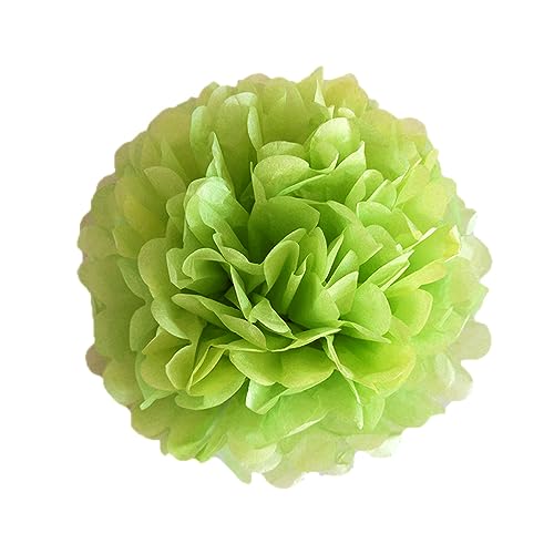24 Stück Deko Pompons Seidenpapier Pompoms Papier Blumen Pom Poms, Dekorpapier Blumenpuscheln für Party Hochzeitsdeko Festival Geburtstag Baby-Shower Weihnachten Gartenparty Deko,Fruchtgrün von Duories