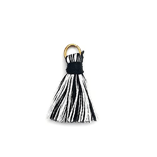 50 Stück Mini Quasten Anhänger,2cm Seidige Gerade Fransen Tassel Troddel Armband Schlüsselanhänger Basteln Quaste für Ohrringe Schmuckherstellung Taschen Lesezeichen DIY Handwerk Zubehör,Schwarz-Weiss 50 Stück Mini Quasten Anhänger,2cm Seidige Gerade Fransen Tassel Troddel Armband Schlüsselanhänger Basteln Quaste für Ohrringe Schmuckherstellung Taschen Lesezeichen DIY Handwerk Zubehör,Schwarz-Weiss von Duories