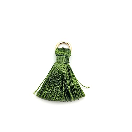 50 Stück Mini Quasten Anhänger,2cm Seidige Gerade Fransen Tassel Troddel Armband Schlüsselanhänger Basteln Quaste für Ohrringe Schmuckherstellung Taschen Lesezeichen DIY Handwerk Zubehör,Gras-Grün von Duories