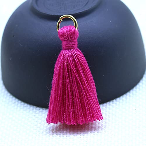 50 Stück Mini Quasten Anhänger,3cm Baumwolle Fransen Tassel Troddel Armband Schlüsselanhänger Basteln Quaste für Ohrringe Schmuckherstellung Taschen Lesezeichen DIY Handwerk Zubehör,Tiefes Rosa von Duories