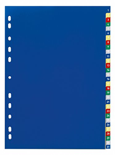 Durable Zahlenregister mit farbigen Taben, 1-31, Universallochung, farbiger Ablauf, 675627 von Durable