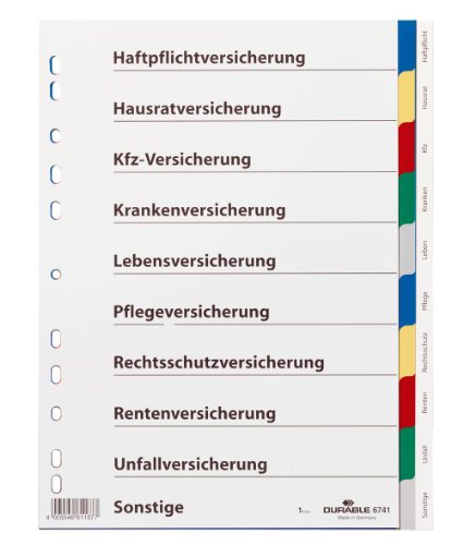 Durable Blanko-Register aus PP, 10-teilig, Universallochung, 25 Stück, farbiger Verlauf, grau, 674127 von Durable