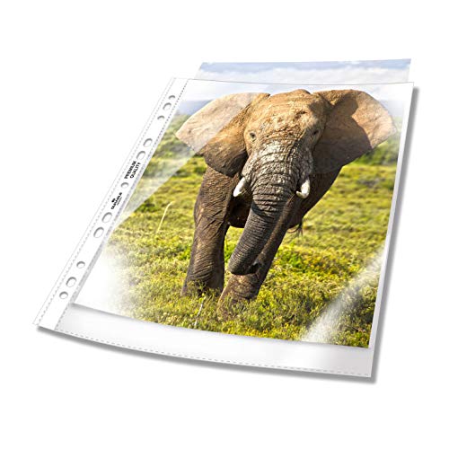Durable Prospekthülle A4 extra breit, 240x310 mm, 90my, transparent, 50 Stück, 999111197 Durable Prospekthülle A4 extra breit, 240x310 mm, 90my, transparent, 50 Stück, 999111197 von Durable
