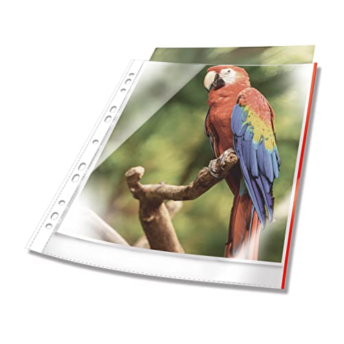 Durable Prospekthülle Premium mit farbigem Rand A4 glasklar PP 100 Stück, rot, 265403 Durable Prospekthülle Premium mit farbigem Rand A4 glasklar PP 100 Stück, rot, 265403 von Durable