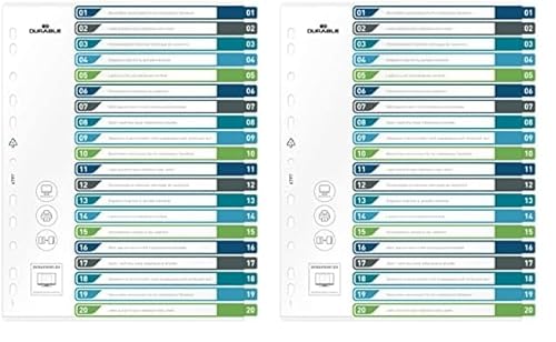 Durable Register 1-20, A4+ hoch, beschriftbares Indexblatt, 100% recycelbar, mehrfarbig, 679727 (Packung mit 2) von Durable