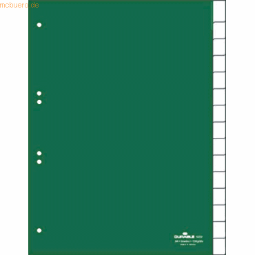 Durable Register A4 blanko 15-teilig grün von Durable