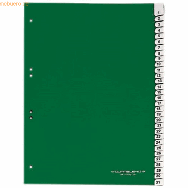 Durable Register A4 blanko 31-teilig grün von Durable