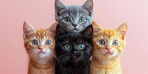 Diamond Painting Katzen Diamond Painting Kinder, Tiere Bastelset Erwachsene, Kreativ Set für Erwachsene, 5D Crystal Art Set, DIY Diamant Kunst Kits für Anfänger, für Home Wall Decor, 35x70cm p-490 von Duushuait