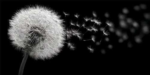 Diamond Painting Prinzessin Diamond Painting Kinder, Weiß Bastelset Erwachsene, Kreativ Set für Erwachsene, 5D Crystal Art Set, DIY Diamant Kunst Kits für Anfänger, für Home Wall Decor, 70x140cm p-615 Diamond Painting Prinzessin Diamond Painting Kinder, Weiß Bastelset Erwachsene, Kreativ Set für Erwachsene, 5D Crystal Art Set, DIY Diamant Kunst Kits für Anfänger, für Home Wall Decor, 70x140cm p-615 von Duushuait