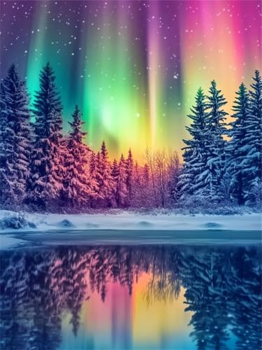 Polarlicht Diamond Painting Kinder, Schnee Diamond Painting Erwachsene, Anfänger Crystal Art Set, Entspannendes & Stressabbau Kunsthandwerk, Perfektes Geschenke, für Home Wall Decor 20x30cm f-297 Polarlicht Diamond Painting Kinder, Schnee Diamond Painting Erwachsene, Anfänger Crystal Art Set, Entspannendes & Stressabbau Kunsthandwerk, Perfektes Geschenke, für Home Wall Decor 20x30cm f-297 von Duushuait