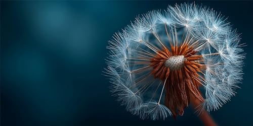 Prinzessin Diamond Painting Erwachsene, Pflanzen Diamond Painting Set für Kinder, Crystal Art für Anfänger, DIY Diamant Kunst Mosaikherstellung, Diamant Kunst Erwachsene XXL, Wand Deko, 30x60cm p-620 Prinzessin Diamond Painting Erwachsene, Pflanzen Diamond Painting Set für Kinder, Crystal Art für Anfänger, DIY Diamant Kunst Mosaikherstellung, Diamant Kunst Erwachsene XXL, Wand Deko, 30x60cm p-620 von Duushuait