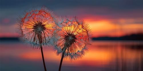 Prinzessin Diamond Painting Erwachsene, Sonnenuntergang Diamond Painting Set für Kinder, Crystal Art für Anfänger, Diamant Kunst Mosaikherstellung, Diamant Kunst Erwachsene XXL, 80x160cm p-619 Prinzessin Diamond Painting Erwachsene, Sonnenuntergang Diamond Painting Set für Kinder, Crystal Art für Anfänger, Diamant Kunst Mosaikherstellung, Diamant Kunst Erwachsene XXL, 80x160cm p-619 von Duushuait