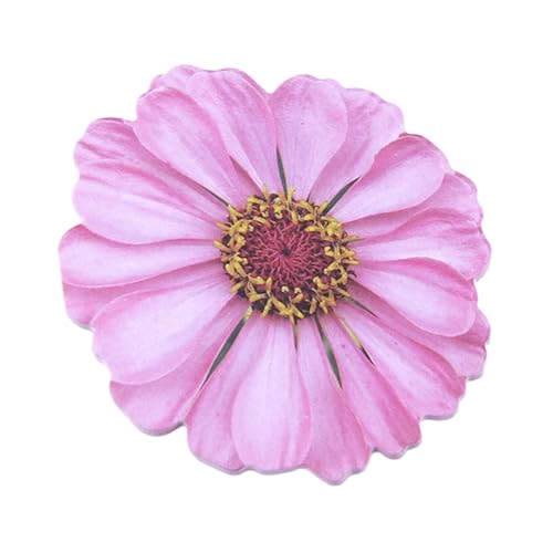 Duyeuau Haftnotizen in Blumenform, Haftnotizen, Haftnotizen, Notizblock, selbstklebende Tagebücher, Seite, Notizblöcke für Büro, 25 Blatt von Duyeuau
