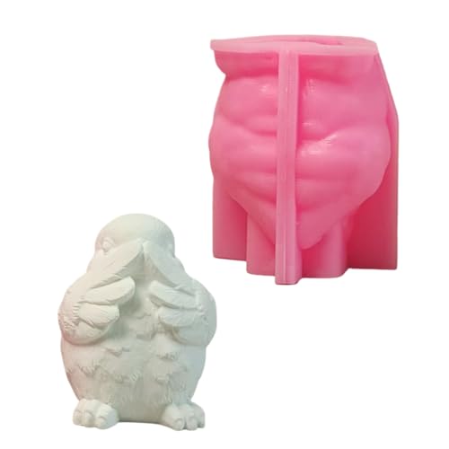 Duyeuau Silikonformen, 3D-Vogelformen, handgefertigt, Epoxidharz, Ornament, Gips, Gießformen, Seifenformen von Duyeuau