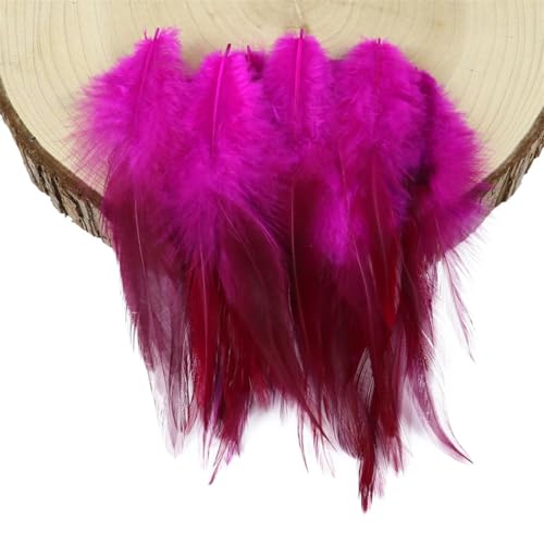 10–15 cm Feder für Bastelzubehör, Party-Dekoration 10–15 cm Feder für Bastelzubehör, Party-Dekoration von Dvbfufv