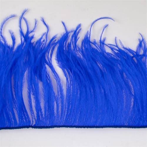 10–22 cm Federbesatz für Hochzeit, Party, Kleid, dekorative Kleidung, Nähzubehör, Fransenfeder von Dvbfufv