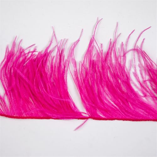 10–22 cm Federbesatz für Hochzeit, Party, Kleid, dekorative Kleidung, Nähzubehör, Fransenfeder 10–22 cm Federbesatz für Hochzeit, Party, Kleid, dekorative Kleidung, Nähzubehör, Fransenfeder von Dvbfufv
