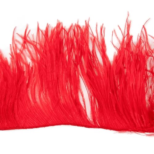 10–22 cm Federbesatz für Hochzeit, Party, Kleid, dekorative Kleidung, Nähzubehör, Fransenfeder 10–22 cm Federbesatz für Hochzeit, Party, Kleid, dekorative Kleidung, Nähzubehör, Fransenfeder von Dvbfufv