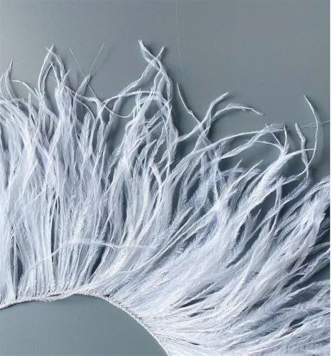 10–22 cm Federbesatz für Hochzeit, Party, Kleid, dekorative Kleidung, Nähzubehör, Fransenfeder 10–22 cm Federbesatz für Hochzeit, Party, Kleid, dekorative Kleidung, Nähzubehör, Fransenfeder von Dvbfufv