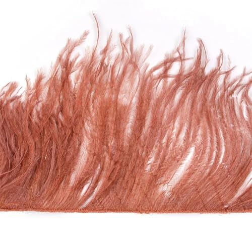 10–22 cm Federbesatz für Hochzeit, Party, Kleid, dekorative Kleidung, Nähzubehör, Fransenfeder 10–22 cm Federbesatz für Hochzeit, Party, Kleid, dekorative Kleidung, Nähzubehör, Fransenfeder von Dvbfufv
