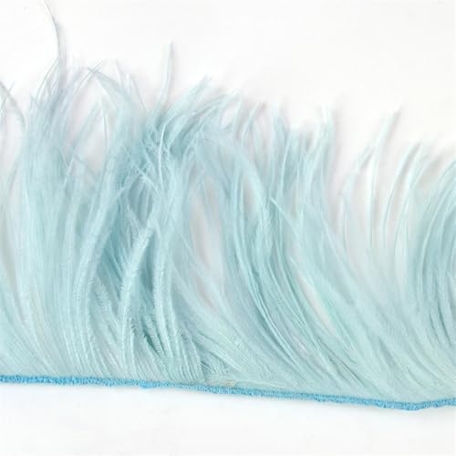 10–22 cm Federbesatz für Hochzeit, Party, Kleid, dekorative Kleidung, Nähzubehör, Fransenfeder 10–22 cm Federbesatz für Hochzeit, Party, Kleid, dekorative Kleidung, Nähzubehör, Fransenfeder von Dvbfufv
