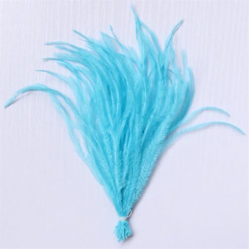 100 Stück Federbordüre Quasten 10–18 cm Hochzeitskleid Kleidung Dekoration 100 Stück Federbordüre Quasten 10–18 cm Hochzeitskleid Kleidung Dekoration von Dvbfufv