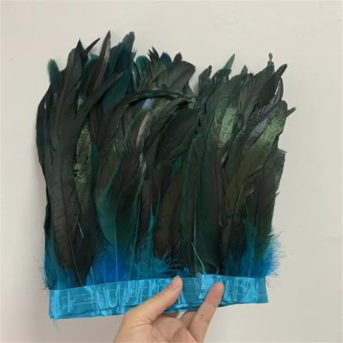 25–30 cm/10–12 Zoll Federn Kanten 10 Meter Kleid zum Selbermachen für Handwerk Band Federzubehör 25–30 cm/10–12 Zoll Federn Kanten 10 Meter Kleid zum Selbermachen für Handwerk Band Federzubehör von Dvbfufv